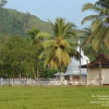 frist image